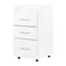 Rullvagn Beauty Cabinet II Vit