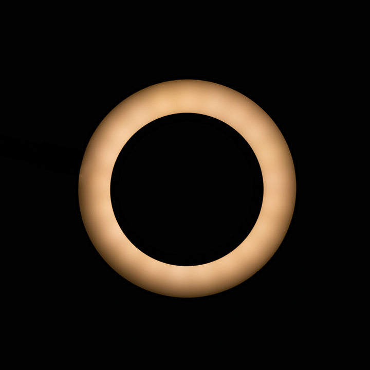 Förstoringslampa LED 5D med bordsfäste svanhals USB Svart - bild 5