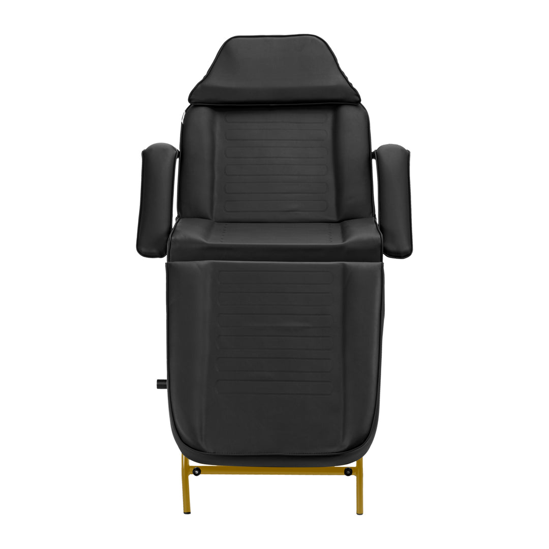 Behandlingsstol 557G med Brickor Guld-Svart - bild 4