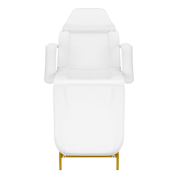 Behandlingsstol 557G med brickor, guld/vit - bild 4