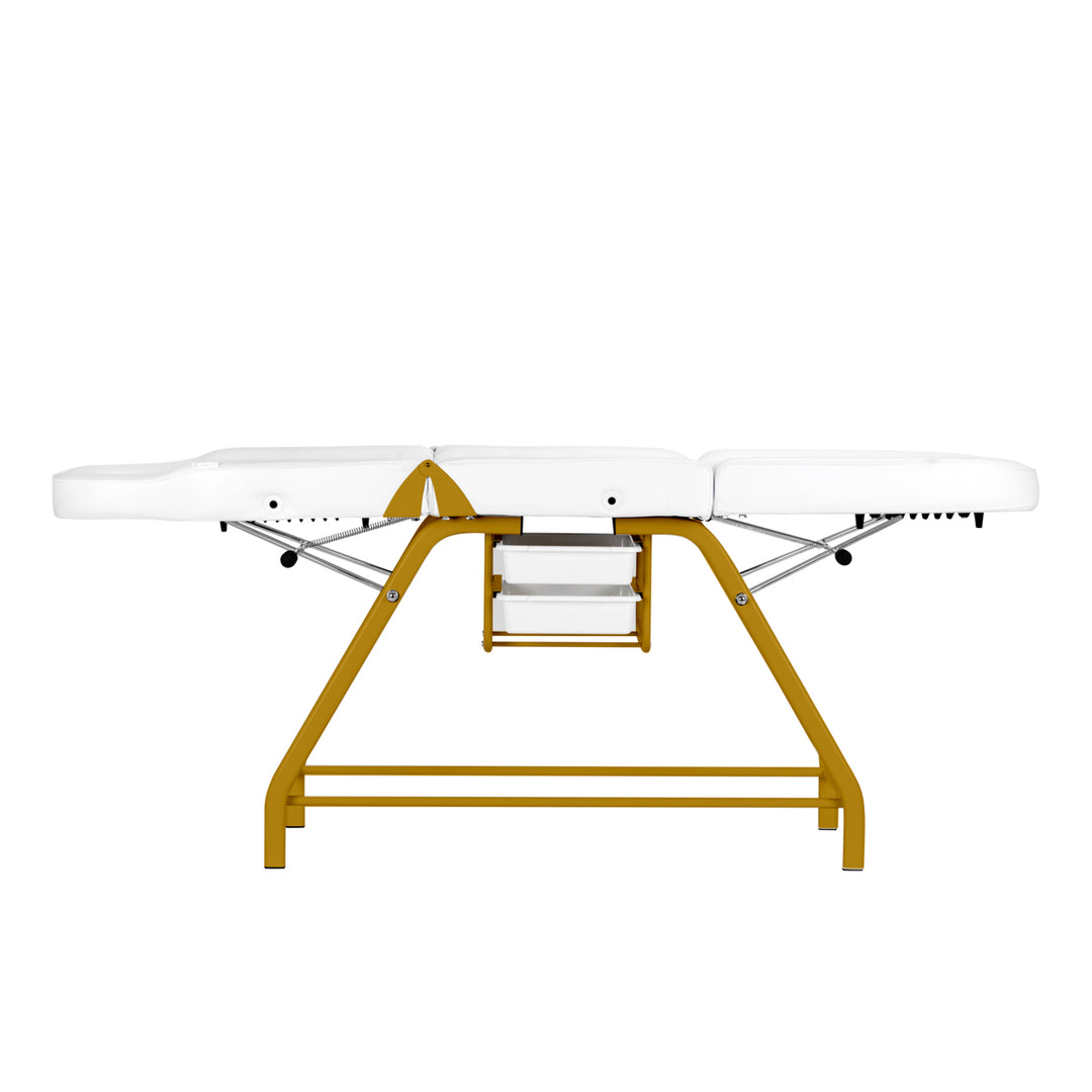 Behandlingsstol 557G med brickor, guld/vit - bild 7