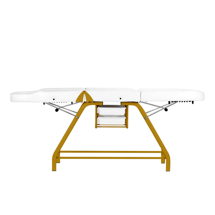 Behandlingsstol 557G med brickor, guld/vit - bild 7