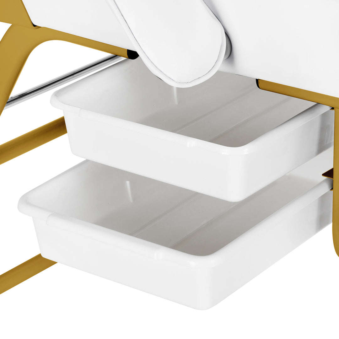 Behandlingsstol 557G med brickor, guld/vit - bild 9