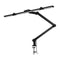 LED-lampa Glow L03 med klämma, svart - Nagellampa bord